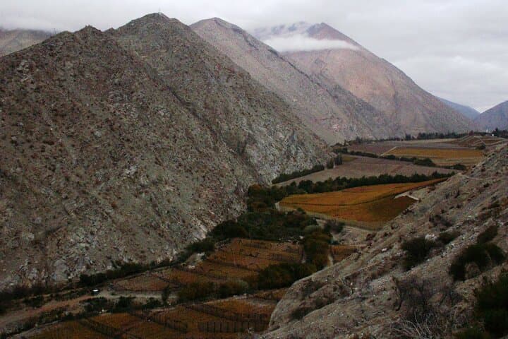 Elqui Valley Grand Tour: Sacred Mountains, Pisco, Solar Ovens & Gabriela Mistral photo 4