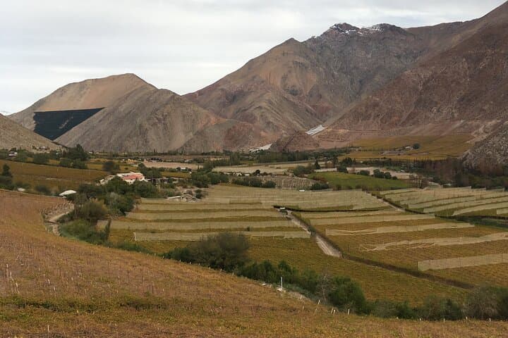 Elqui Valley Grand Tour: Sacred Mountains, Pisco, Solar Ovens & Gabriela Mistral photo 5