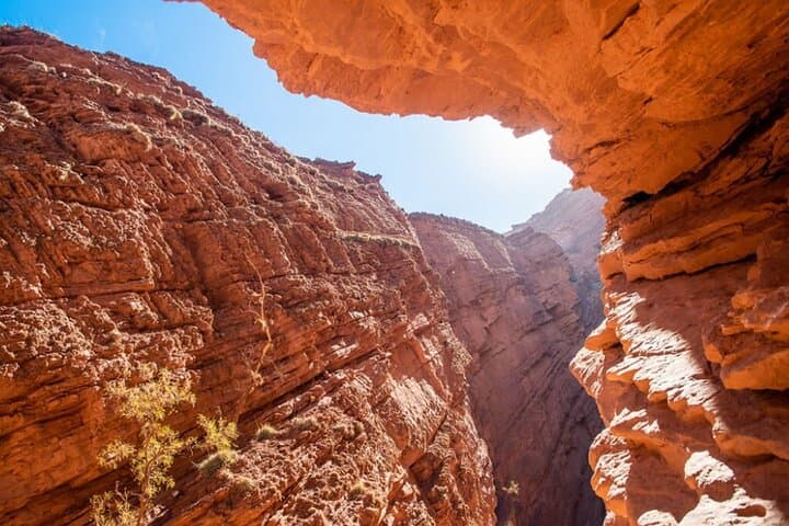 Three-Day Northern Argentina Circuit: Cafayate, Cachi & Hornocal photo 6