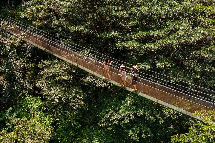 Rainforest Waterfall Hike and Hanging Bridges with Local Lunch near Manuel Antonio photo 4