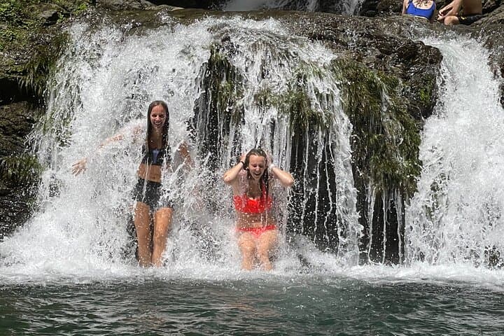 Rainforest Waterfall Hike and Hanging Bridges with Local Lunch near Manuel Antonio photo 6