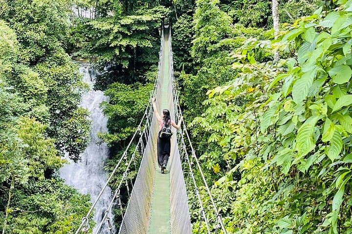 Rainforest Waterfall Hike and Hanging Bridges with Local Lunch near Manuel Antonio