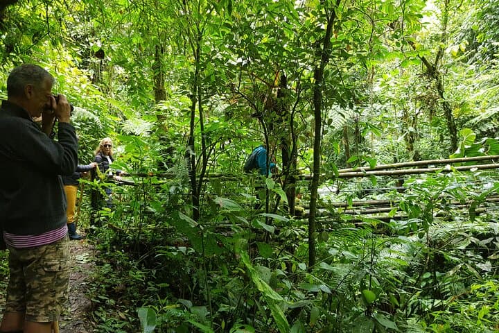 Howler Monkeys & Filandia Views: Barbas Bremen Forest, Waterfall and Coffee-Region Flavors