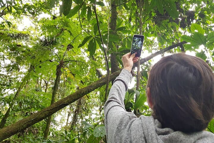 Howler Monkeys & Filandia Views: Barbas Bremen Forest, Waterfall and Coffee-Region Flavors photo 3