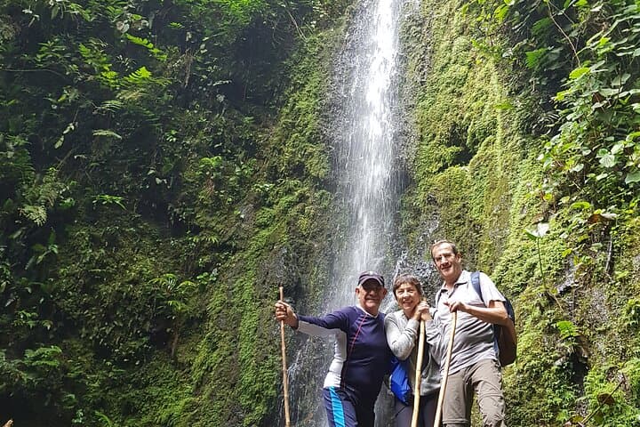 Howler Monkeys & Filandia Views: Barbas Bremen Forest, Waterfall and Coffee-Region Flavors photo 5