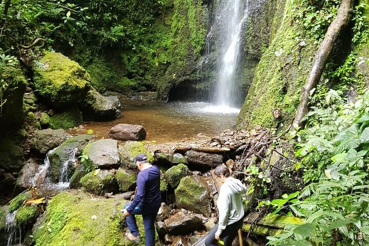 Howler Monkeys & Filandia Views: Barbas Bremen Forest, Waterfall and Coffee-Region Flavors photo 6