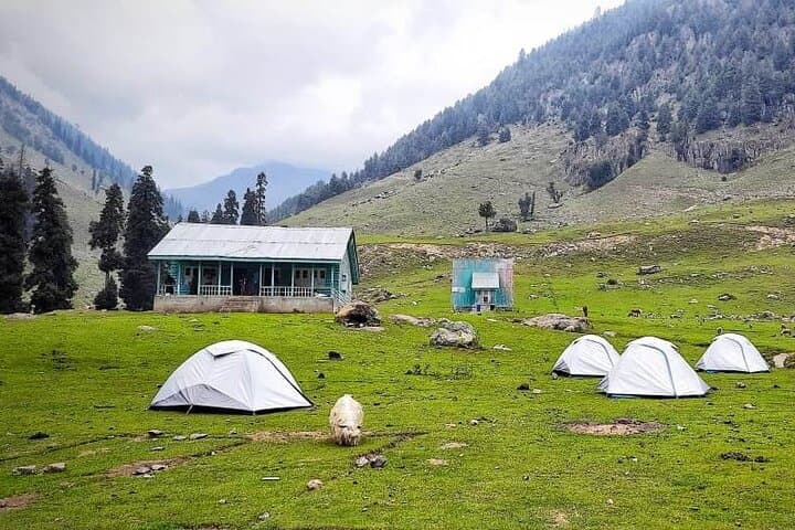 Tarsar Marsar Trek: 10-Day Private Trek from Srinagar to Kolahoi Glacier photo 4