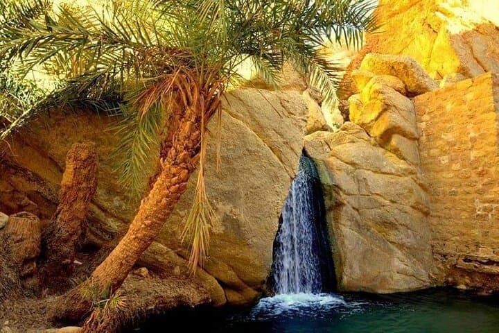 6-Day Private 4x4 Southern Tunisia & Djerba — Desert Oases, Salt Flats and Island Villages photo 3