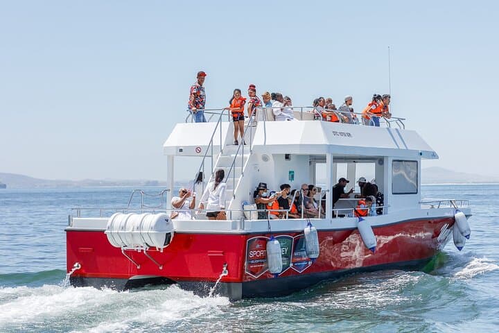 Cape Town 30-Minute Harbour Boat Cruise at the V&A Waterfront