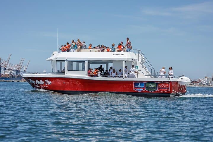 Cape Town 30-Minute Harbour Boat Cruise at the V&A Waterfront photo 6