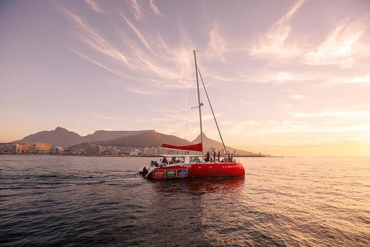 Sunset Champagne Catamaran Cruise at V&A Waterfront, Cape Town