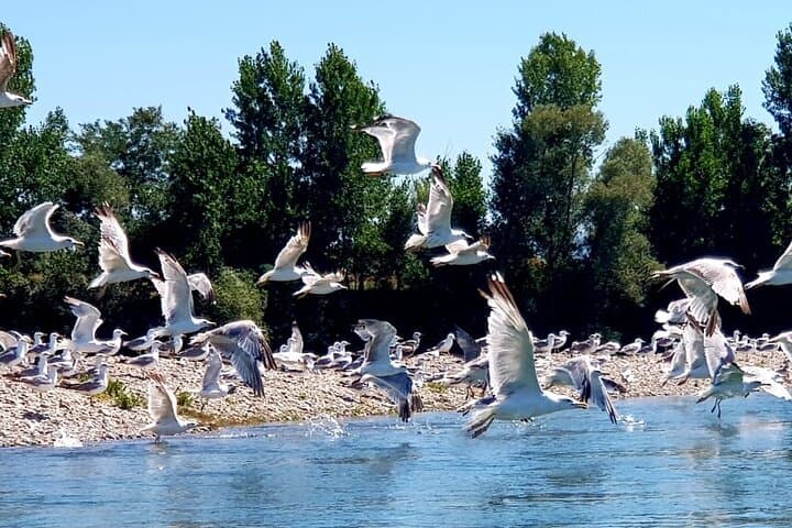 Albanian Alps: 4-Day Valbona-to-Theth Hike, Koman Ferry and Skadar Lake Paddle photo 3