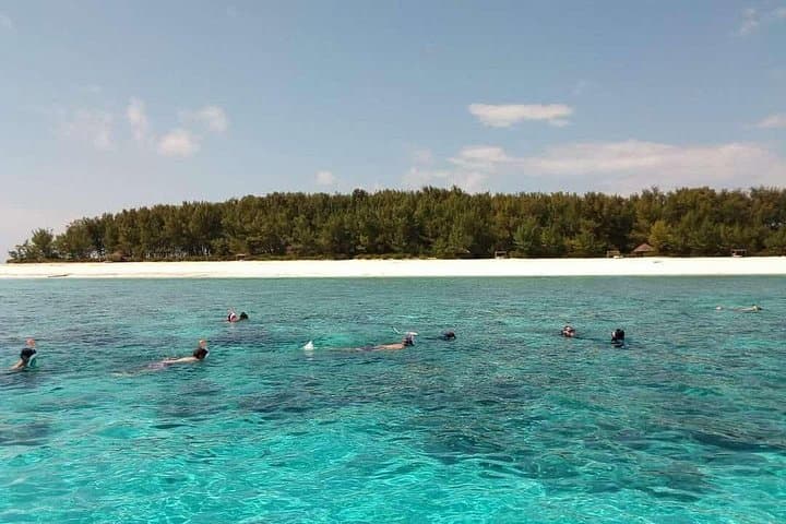 Snorkel Mnemba Atoll: Half-Day Marine Reserve Adventure from Zanzibar City