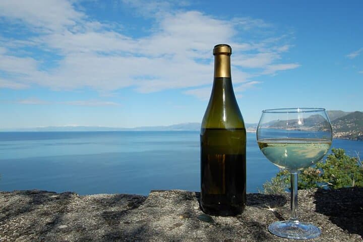 Camogli Private Ligurian Wine Tasting and National Park Walk