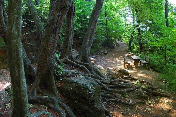 Camogli Private Ligurian Wine Tasting and National Park Walk photo 4