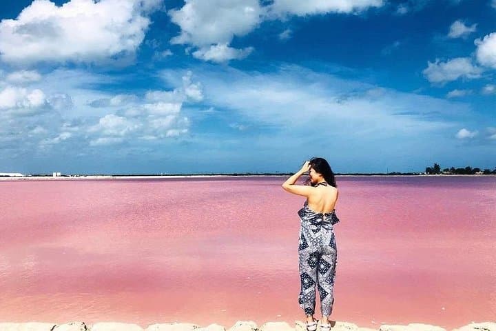 Pink Lagoons & Flamingos: Las Coloradas and Río Lagartos Day Tour photo 3