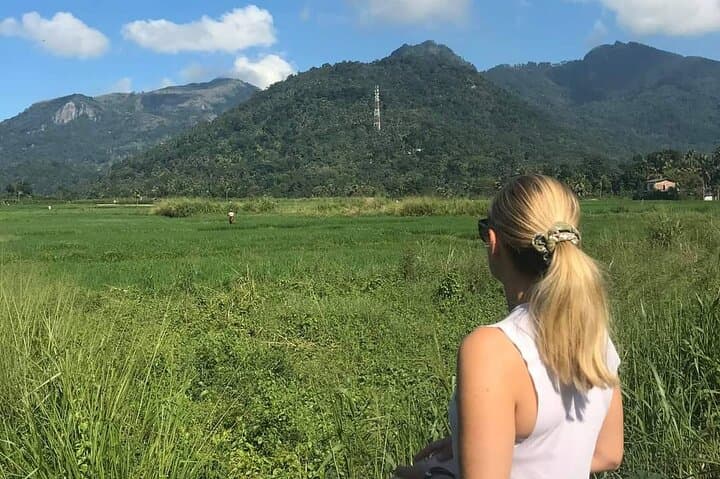 Sigiriya and Dambulla Day Tour from Kandy: Climb the Lion Rock and Explore Ancient Cave Temples photo 5
