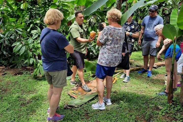 Peñas Blancas Safari Float and Cacao Farm Half-Day from La Fortuna photo 3