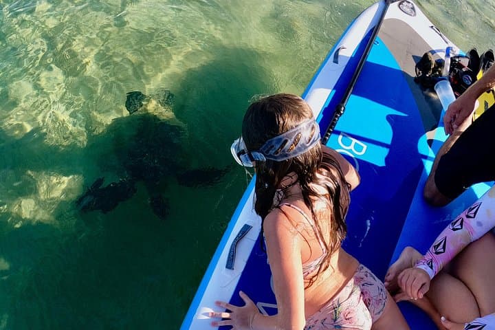 Wailea Beach Guided Snorkel for Non-Swimmers — Family-Friendly Turtle Tour photo 3