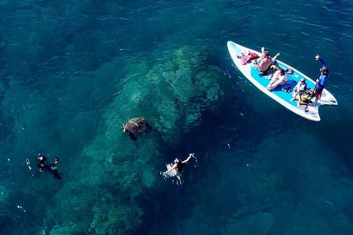 Wailea Beach Guided Snorkel for Non-Swimmers — Family-Friendly Turtle Tour photo 4
