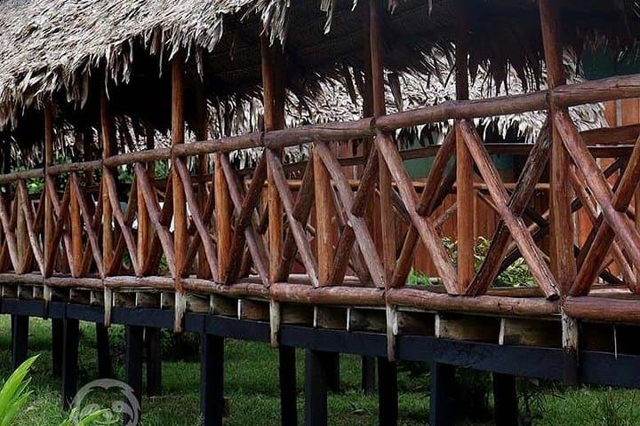 3-Day Amazon Jungle and River Tour from Iquitos – Dolphins, Tribe Visits & Night Safaris photo 4