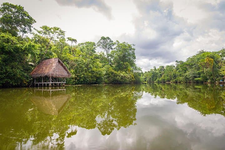 3-Day Amazon Jungle and River Tour from Iquitos – Dolphins, Tribe Visits & Night Safaris photo 6