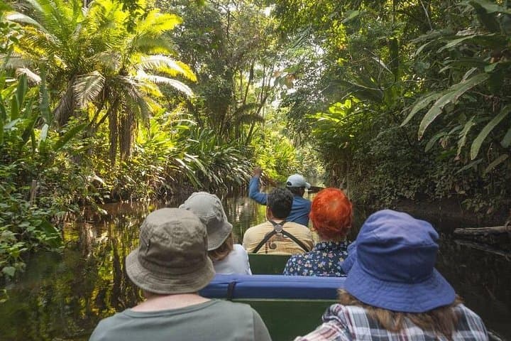 3-Day Amazon Jungle and River Tour from Iquitos – Dolphins, Tribe Visits & Night Safaris photo 5