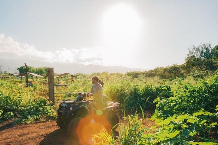 Drive an ATV on Oahu's North Shore: Beachfront Farm Tour & Shoreline Restoration photo 4