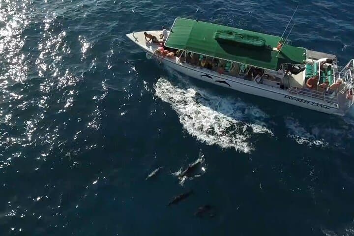 Explore Lanai’s Hidden Coast: A Full-Day Private Snorkeling Charter Adventure photo 3