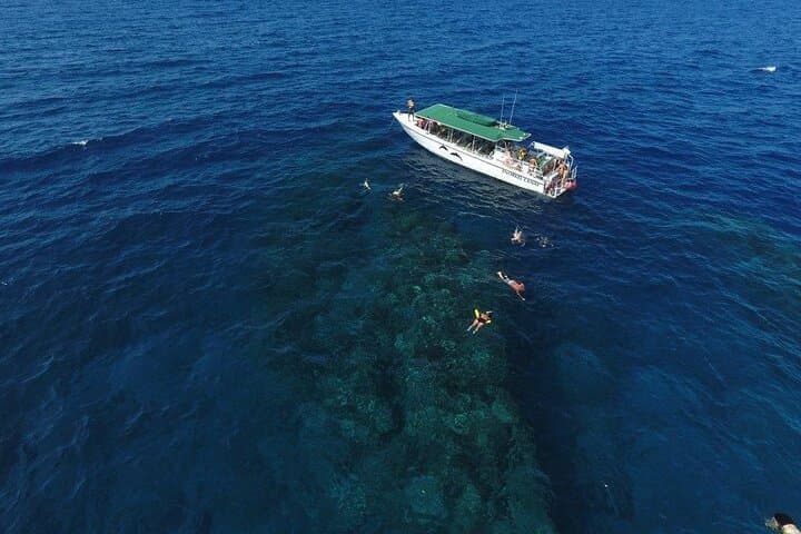Explore Lanai’s Hidden Coast: A Full-Day Private Snorkeling Charter Adventure photo 5