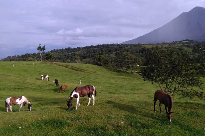 Private transfer from Arenal (La Fortuna) to Tamarindo — door-to-door luxury ride photo 3