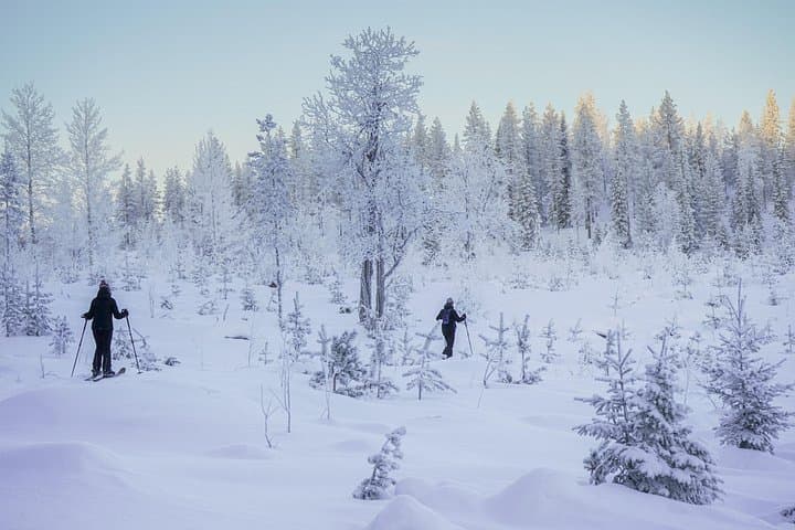 Backcountry Ski Adventure from Rovaniemi — Altai Ski Tours in Lapland photo 2