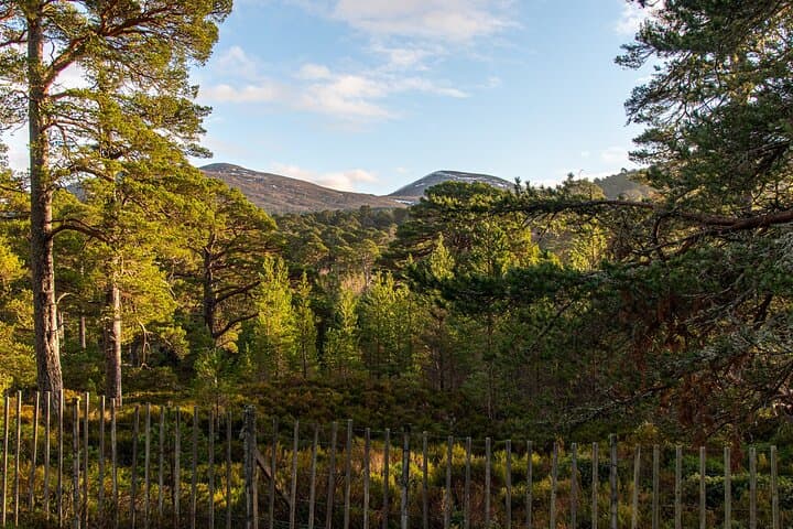 Private Balmoral Walk to the Queen's Retreat, Invercauld Bridge & Fife Arms Lunch photo 4