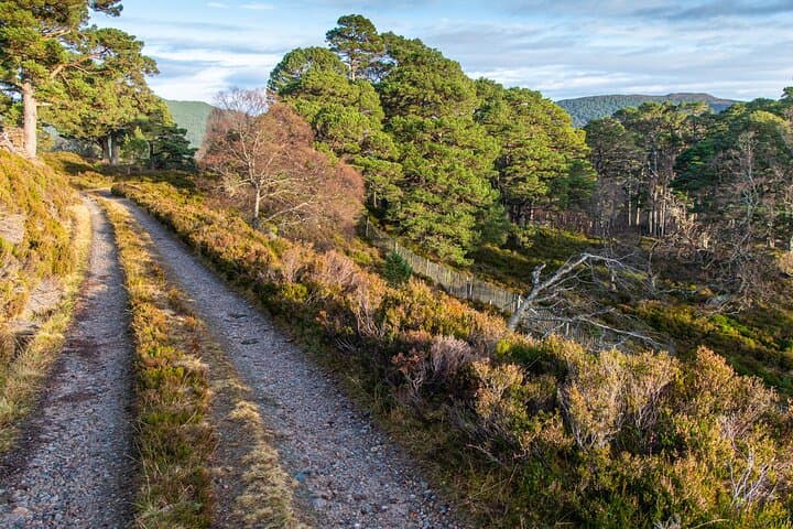 Private Balmoral Walk to the Queen's Retreat, Invercauld Bridge & Fife Arms Lunch photo 5