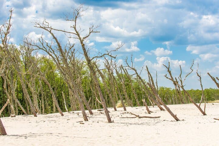 Slowinski National Park Private Tour: Łeba Moving Dunes & Coastal Lakes Day Trip photo 4