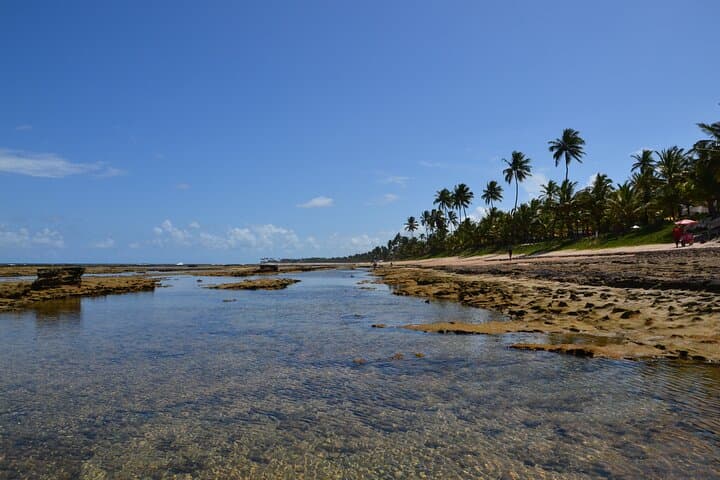 Private Transfer: Porto de Galinhas to Recife Airport photo 4
