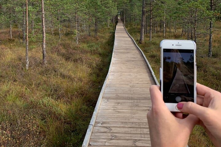 Lahemaa National Park Day Trip — Romantic North-Coast from Tallinn photo 2