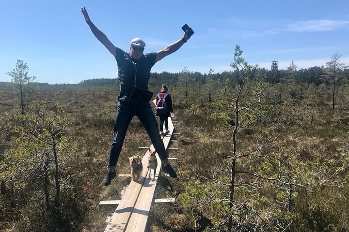 Lahemaa National Park Day Trip — Romantic North-Coast from Tallinn