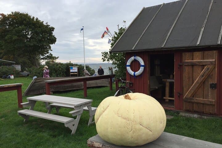 Lahemaa National Park Day Trip — Romantic North-Coast from Tallinn photo 3