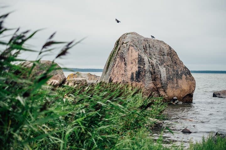 Lahemaa National Park Day Trip — Romantic North-Coast from Tallinn photo 5