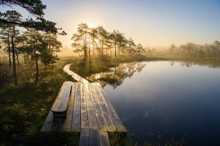 Lahemaa National Park Day Trip — Romantic North-Coast from Tallinn photo 6
