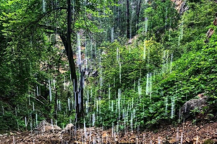 Private Spearfish Canyon Hike: Guided Walk Among Limestone Cliffs & Waterfalls photo 4