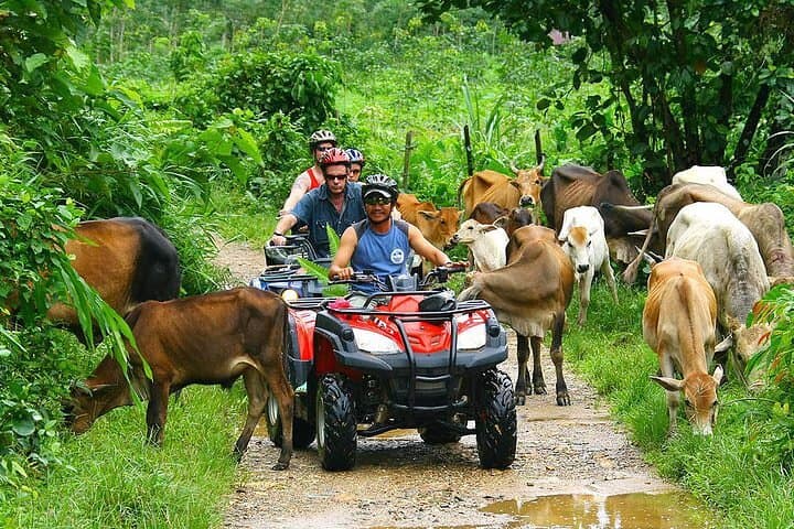 Phuket ATV Seaview Tour: Rainforest Tracks & Andaman Sea Views photo 3