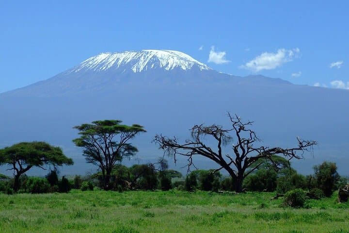 7-Day Machame Route Mt Kilimanjaro Trekking Guide photo 4