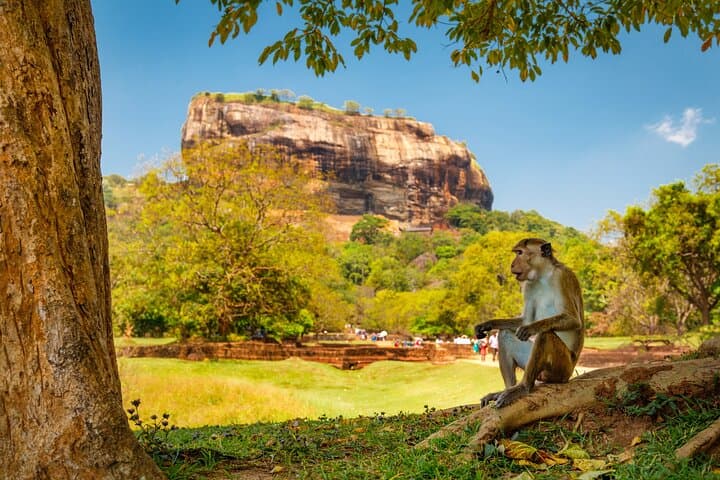 4-Day Cultural Circuit from Colombo: Kandy, Nuwara Eliya, Dambulla & Anuradhapura photo 4