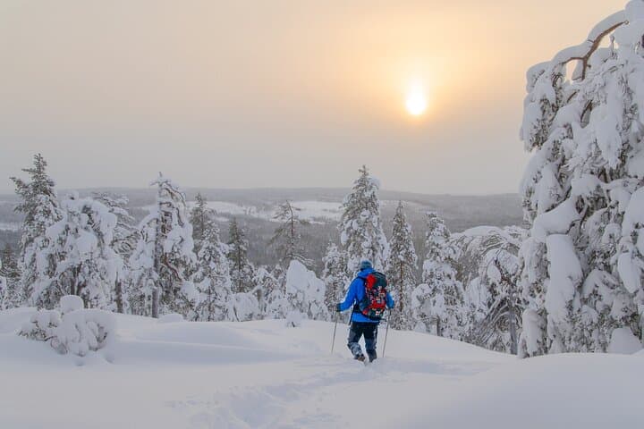 Snowshoeing Into Lapland: Small-Group Arctic Wilderness Walk from Rovaniemi photo 2