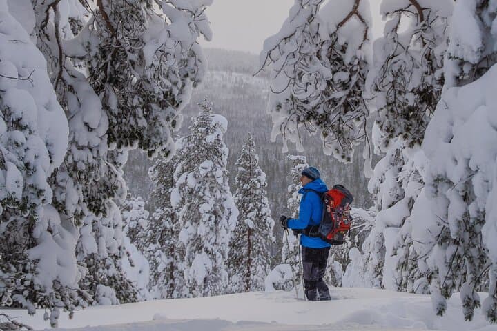 Snowshoeing Into Lapland: Small-Group Arctic Wilderness Walk from Rovaniemi photo 4