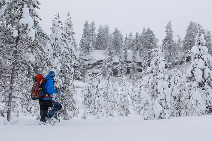 Snowshoeing Into Lapland: Small-Group Arctic Wilderness Walk from Rovaniemi photo 6