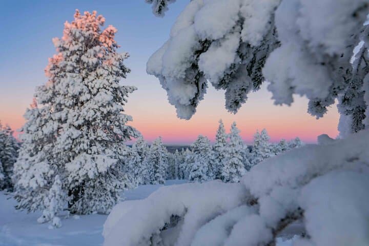 Snowshoeing Into Lapland: Small-Group Arctic Wilderness Walk from Rovaniemi photo 3