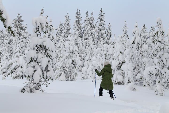 Snowshoeing Into Lapland: Small-Group Arctic Wilderness Walk from Rovaniemi